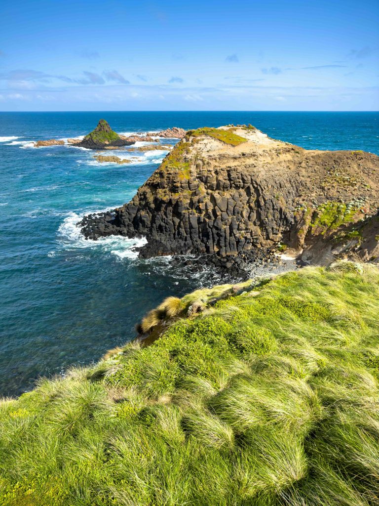 Philips island bus hire