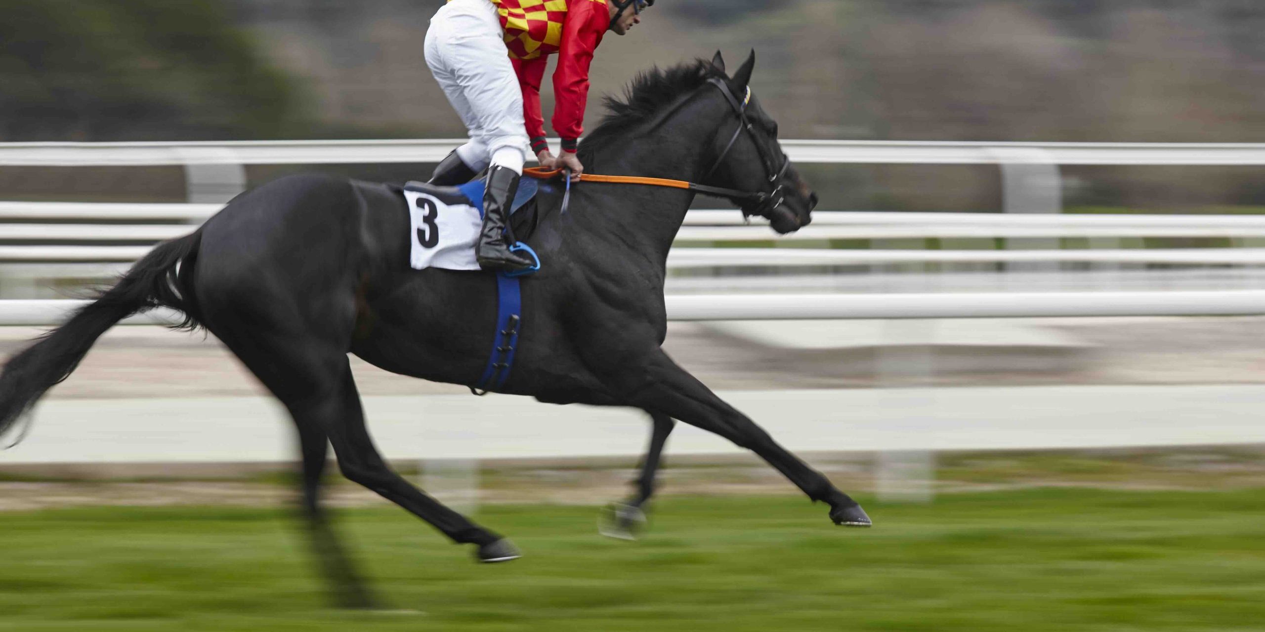 Caulfield cup transportation